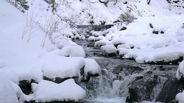 mountain river rapids in winter slow motion, The frozen water on a rock in the midst of rapid mountain river, boiling water, mountain river rapids, mountain river close up