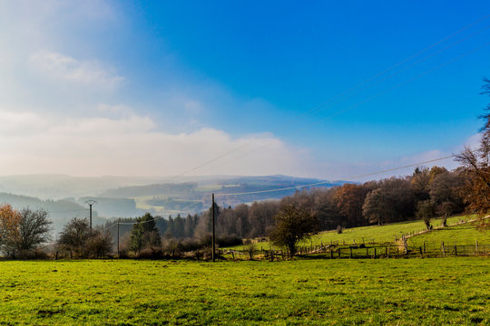 beautiful view of a green meadow with trees and cable poles in the background between the villages of Vielsalm and Beche on a wonderful winter day in of the Belgian Ardennes