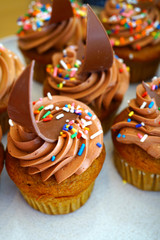 Platter of chocolate cupcakes with buttercream frosting and colorful sprinkles