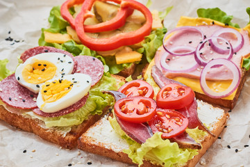 Different kind of sandwich on a white background