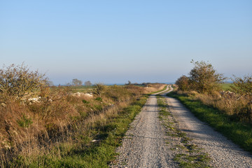 Fototapeta na wymiar Winding gravel road in the countryside