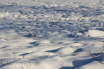 Schnee auf einer Wiese