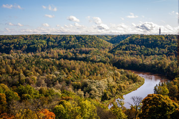 Fototapeta na wymiar wavy river in forest in green summer