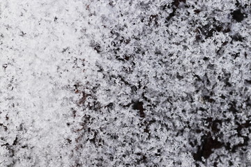Frost und Schnee auf Holz