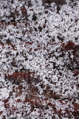 harscher Schnee auf Holz