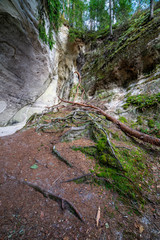 sandstone cliffs with tourist trail on river of gauja, Latvia