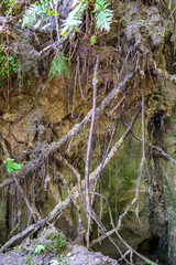 sandstone cliffs with tourist trail on river of gauja, Latvia