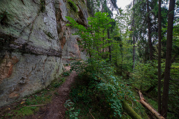 Fototapeta na wymiar sandstone cliffs with tourist trail on river of gauja, Latvia