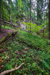 sandstone cliffs with tourist trail on river of gauja, Latvia