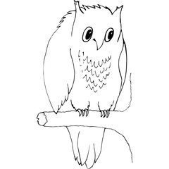 Owl sits on a branch