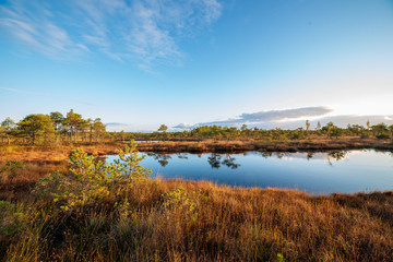 morning mist in the swamp area in sunrise