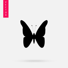 Butterfly icon, logo on white background