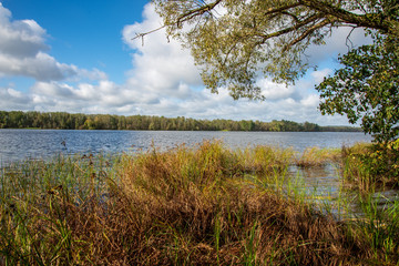 lakeside beach details with sand, rocks and blur background