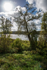 Obraz premium lakeside beach details with sand, rocks and blur background
