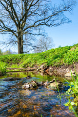 lakeside beach details with sand, rocks and blur background