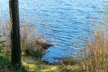 lakeside beach details with sand, rocks and blur background