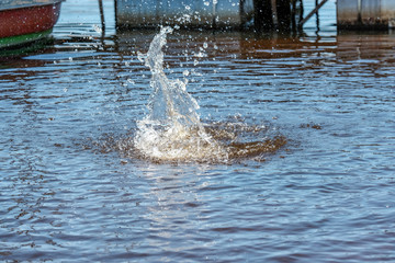 Obraz premium lakeside beach details with sand, rocks and blur background
