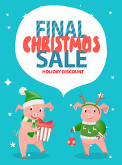 Final Christmas Sale Holiday Discount with Pigs