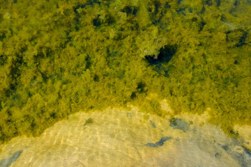 lakeside beach details with sand, rocks and blur background