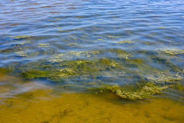 lakeside beach details with sand, rocks and blur background
