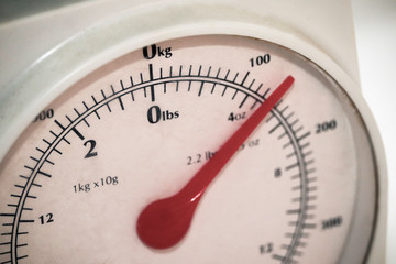 Food weighing scales