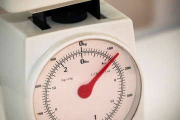 Food weighing scales