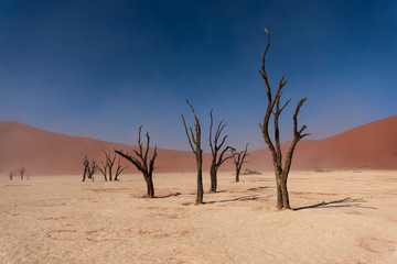Fototapeta na wymiar Desierto de Deadvlei Namibia