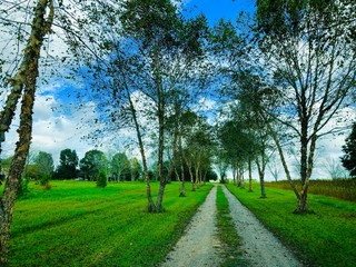 Gravel road in the county side