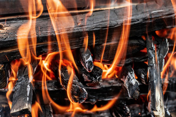 Fire, burning wood, close-up