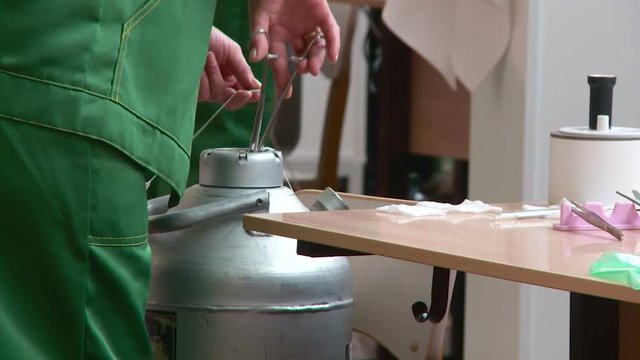 livestock fertilize the inseminator of cows