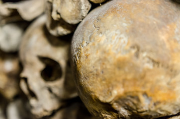 Paris Katakomben Schädel Nahaufnahme