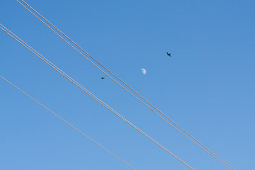 blue sky moon and wires