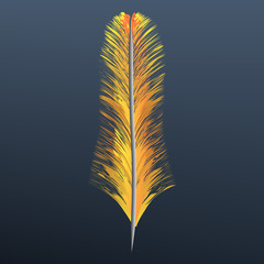 Orange feather icon. Realistic illustration of orange feather vector icon for web design