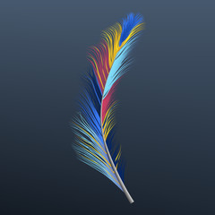 Feather icon. Realistic illustration of feather vector icon for web design