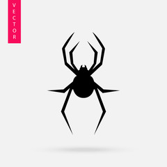 Spider icon, logo on white background