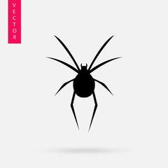 Spider icon, logo on white background