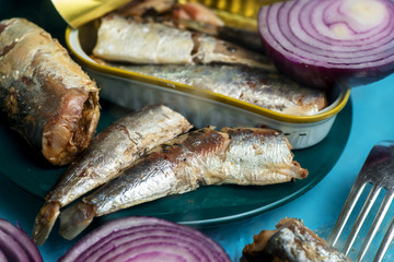 Canned sardines, onion circle and open tin. Closeup.
