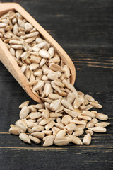 Sunflower seeds in scoop