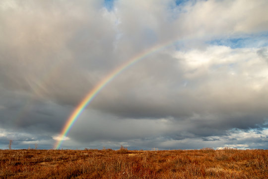 Autumn rainbow in the tundra, Dudinka