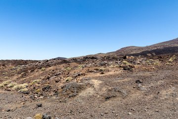 Nationalpark El Teide in Teneriffa,