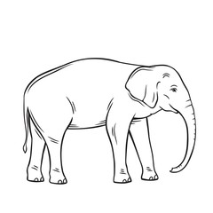 Elephant vector, isolated black icon