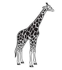 Giraffe isolated black icon