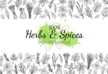 herbs and spice seamless border - obrazy, fototapety, plakaty