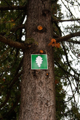 Green tree sign. 