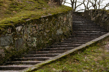 Fototapeta na wymiar Old brick stairs grown with moss.