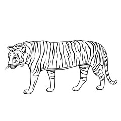 Fototapeta na wymiar Outline tiger icon