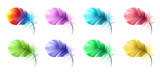vector set of feathers multicolor, feather parrot, green, yellow, purple, light, airy, windy. purple, Paradise birds, red feather