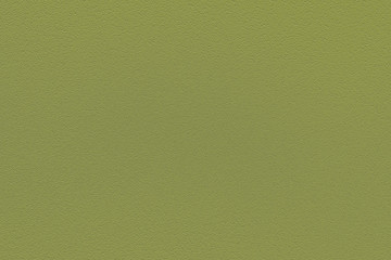 Fashionable color of spring-summer 2019 season: Pepper Stem