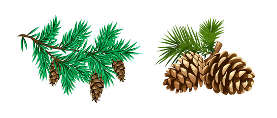 Vector set of Pine needles and cones, branch with greens