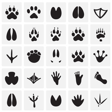 Animal foot prints icons set on squares background for graphic and web design, Modern simple vector sign. Internet concept. Trendy symbol for website design web button or mobile app